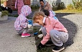 Воскресник